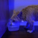 Atticus Finch! (996162)