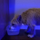 Atticus Finch! (997519)