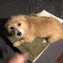 Atticus Finch! (993791)