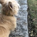 Atticus Finch! (994508)