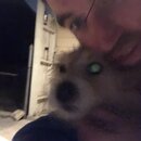 Post Run Sweaty Shots (995731)