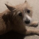 Atticus Finch! (994485)