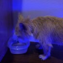 Atticus Finch! (997483)