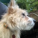 Atticus Finch! (994991)