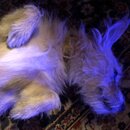 Atticus Finch! (997105)