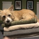 Atticus Finch! (994806)