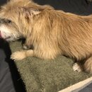 Atticus Finch! (996607)