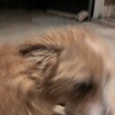 Post Run Sweaty Shots (995899)