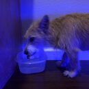 Atticus Finch! (996143)