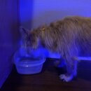 Atticus Finch! (993623)