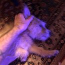 Atticus Finch! (994718)