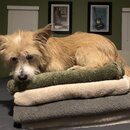 Atticus Finch! (993824)