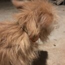 Post Run Sweaty Shots (995915)