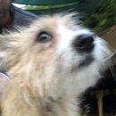 Atticus Finch! (993729)