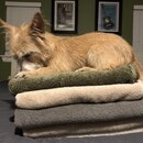 Atticus Finch! (997653)