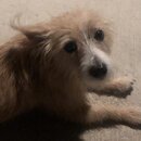 Atticus Finch! (994391)