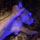 Atticus Finch! (996949)