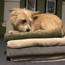 Atticus Finch! (995841)