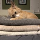 Atticus Finch! (995225)