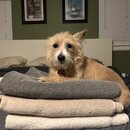 Atticus Finch! (994871)