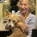 Abbi, Anne, and Atti (993679)