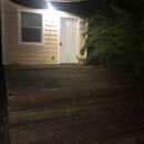 Atti Finds an Asp (996984)