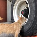 Atti Exploring the Office (996858)