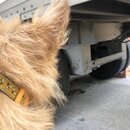 Atti Exploring the Office (994498)