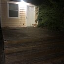 Atti Finds an Asp (995445)