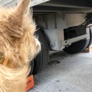 Atti Exploring the Office (993448)