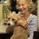 Abbi, Anne, and Atti (995052)