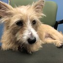 Atti Exploring the Office (995529)