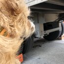 Atti Exploring the Office (995800)