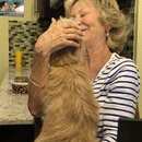 Abbi, Anne, and Atti (994309)