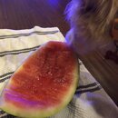 Atticus Finch! (997467)