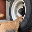 Atti Exploring the Office (995573)