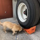 Atti Exploring the Office (995286)