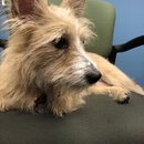 Atti Exploring the Office (994953)