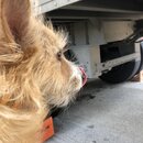 Atti Exploring the Office (997009)