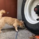 Atti Exploring the Office (996991)