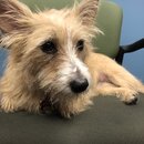 Atti Exploring the Office (993947)