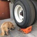 Atti Exploring the Office (995210)