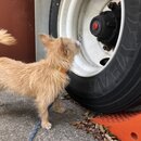 Atti Exploring the Office (994117)