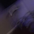 Installing New Tacoma Gauges (995524)