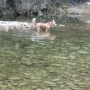 Atti and Rachel at Campbell's Hole (996682)