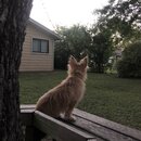 Atticus Finch! (997473)