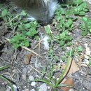 Some Random House Pics (995134)