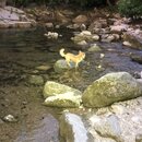 Atti and Rachel at Campbell's Hole (994251)