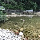 Atti and Rachel at Campbell's Hole (996048)