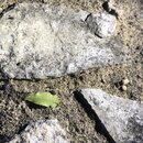 Some Random House Pics (995508)